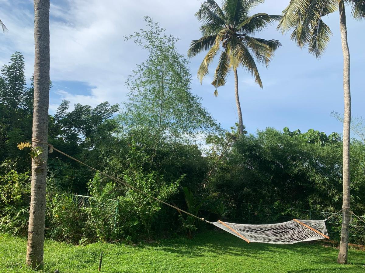 Amara Ayurveda Retreat- Overlooking Evergreen Western Ghats An Ecologically Sustainable Living Space In Kovalam Luaran gambar