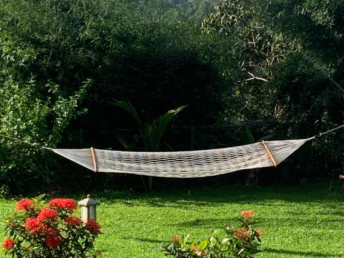 Amara Ayurveda Retreat- Overlooking Evergreen Western Ghats An Ecologically Sustainable Living Space In Kovalam Luaran gambar