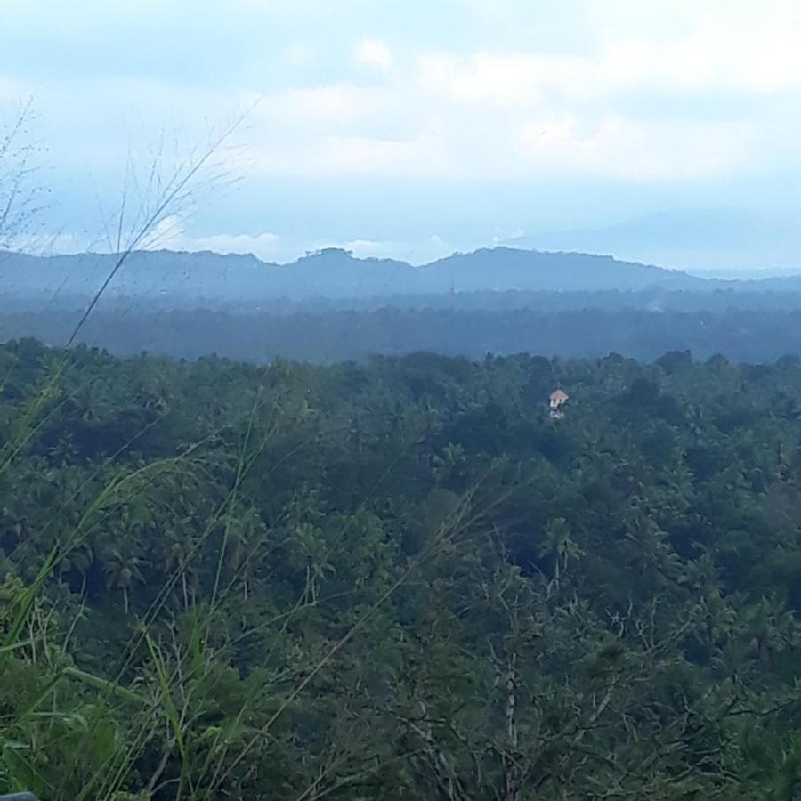 Amara Ayurveda Retreat- Overlooking Evergreen Western Ghats An Ecologically Sustainable Living Space In Kovalam Luaran gambar